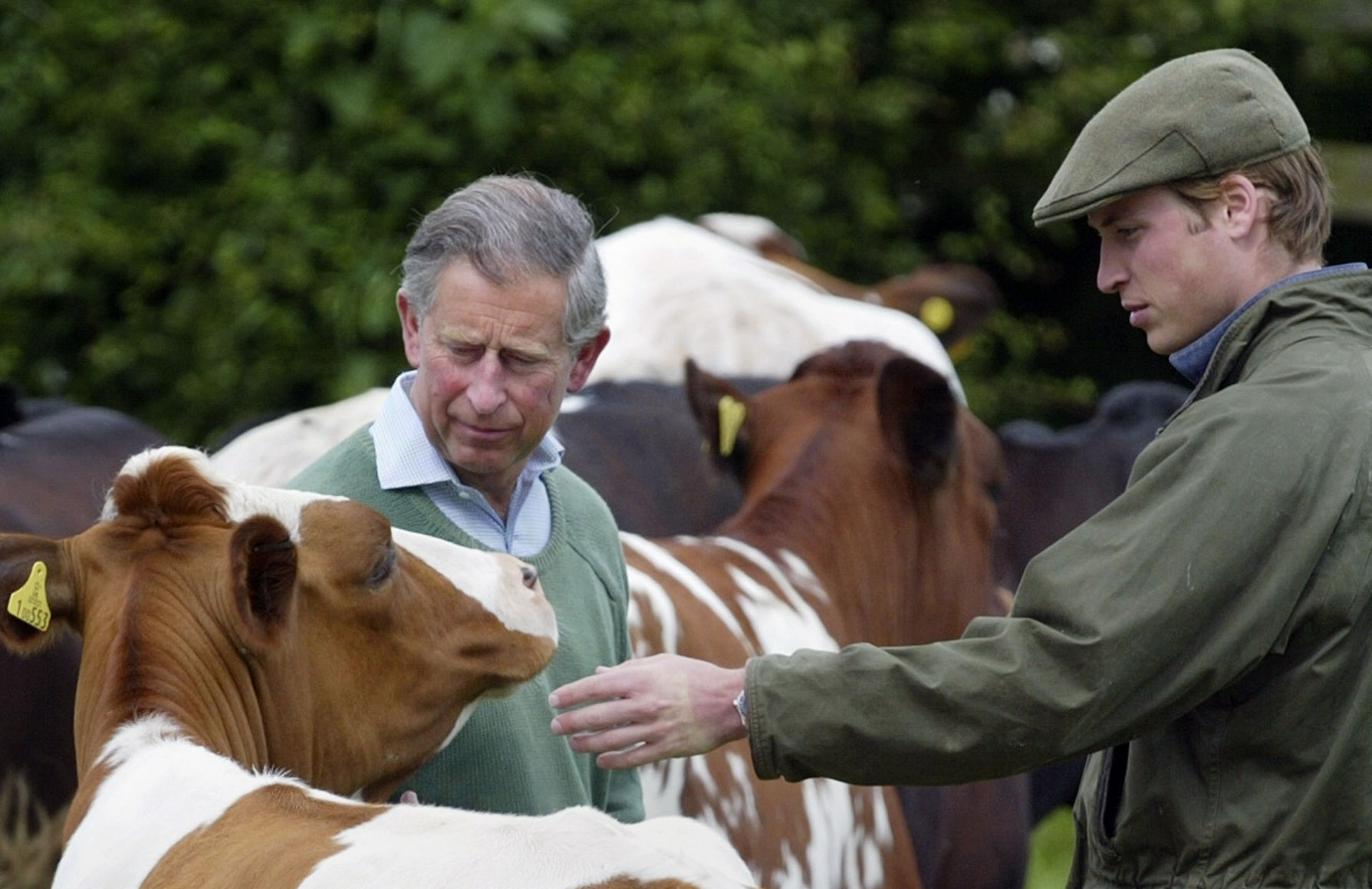 2004: Prince Charles, Prince William